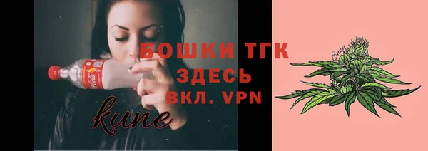 дживик Бронницы
