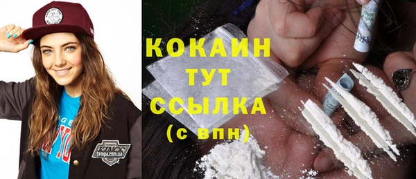 дживик Бронницы