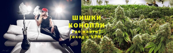 дживик Бронницы